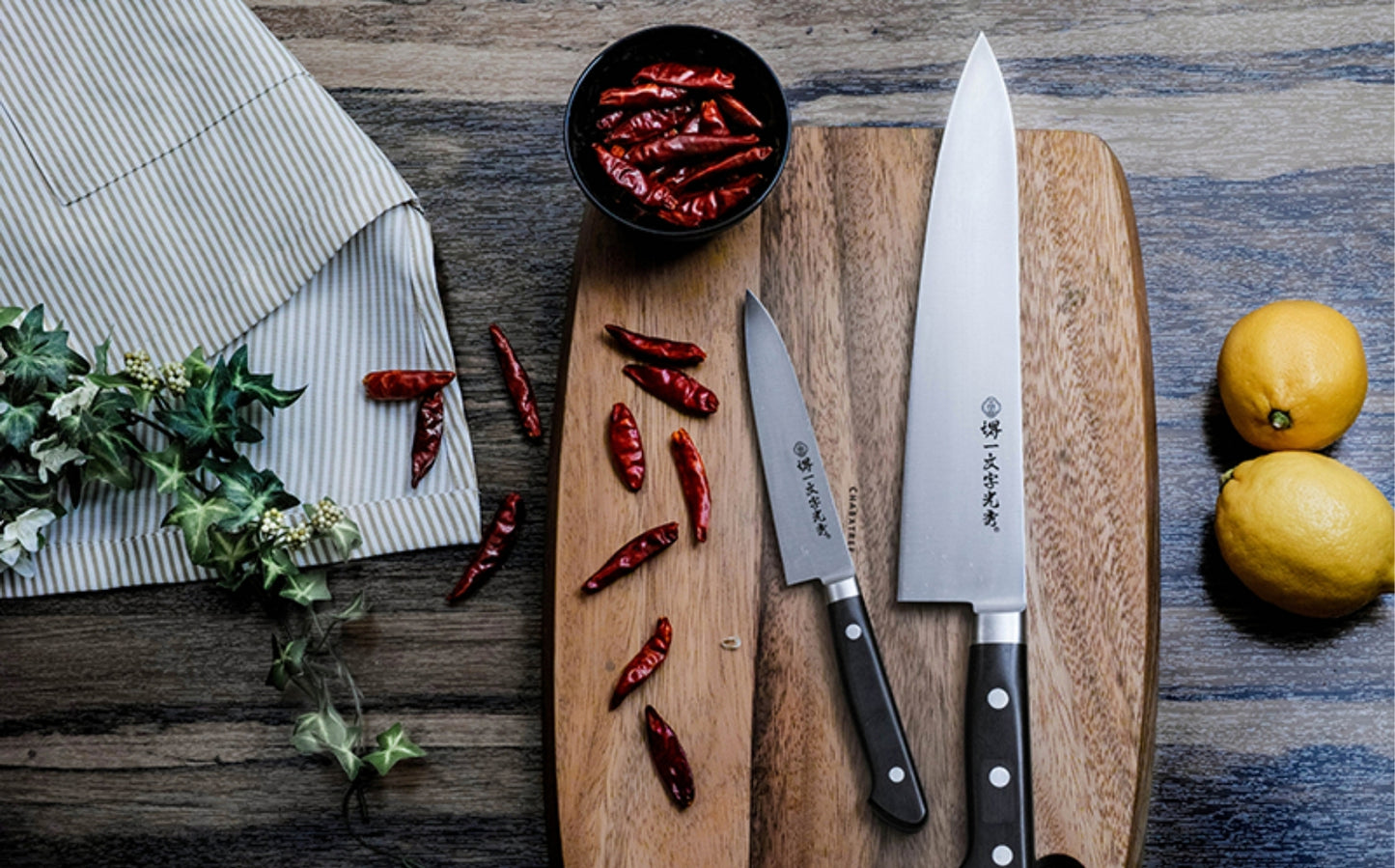 Special Carbon Steel Gyuto (Japanese Chef's Knife)